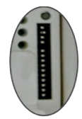 図1のコピー.png